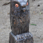Oiseaux N°02