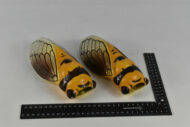 Insectes décoratif