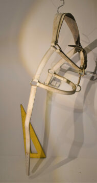 Matériel de cheval N°01 – Image 4