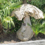 Bois flotté N°28 champignon