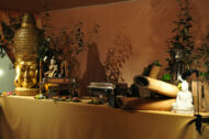 Kit Asie – Image 7