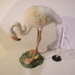 Oiseaux N°07