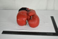 Gants de boxe 02 – Image 2