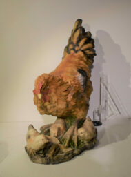 Poules – Image 2