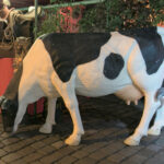 Vache N°02