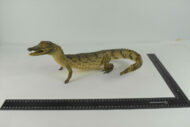 Crocodile N°06