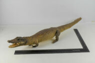 Crocodile N°06 – Image 2