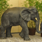 Eléphant N°03