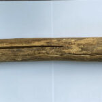 Massue en bois N°01