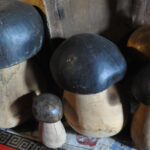 Champignons en bois