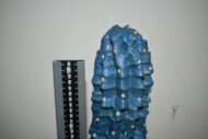Plante. Cactus en plastique N°04 – Image 3