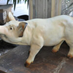 Cochon