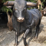 Taureau