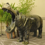 Hippopotame adulte