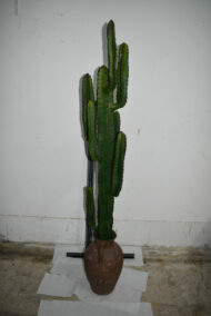 Plante. Cactus en plastique N°01 – Image 2