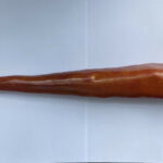 Massue en plastique N°03