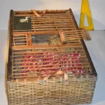 Cage à poules N°06