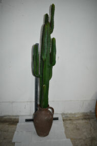 Plante. Cactus en plastique N°01 – Image 4