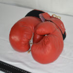 Gants de boxe 02