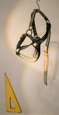 Matériel de cheval N°01 – Image 5
