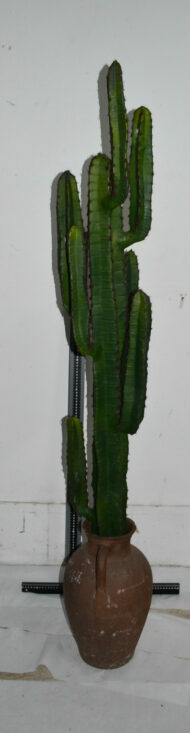Plante. Cactus en plastique N°01