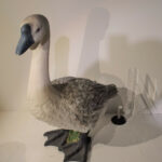 Canard N°03