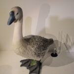 Oiseaux N°09