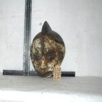 Masque Africain N°238