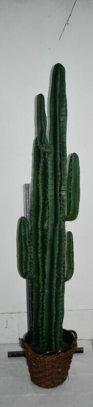 Plante. Cactus en plastique N°02