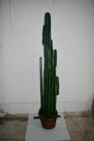 Plante. Cactus en plastique N°02 – Image 3