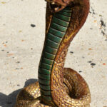Cobra en bois