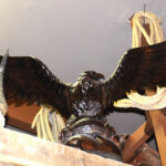 Oiseaux N°13