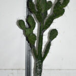 Plante. Cactus en plastique N°05