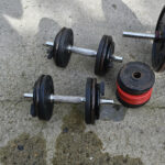 Haltères musculation