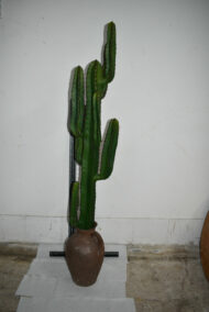Plante. Cactus en plastique N°01 – Image 3
