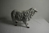 Mouton N°02 – Image 2