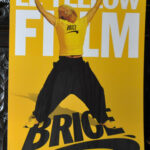 Affiche Brice de Nice N°02