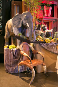 Kit Afrique – Image 7