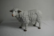 Mouton N°02