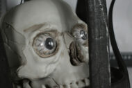 Halloween N°01 – Image 2