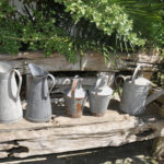 Brocs Zinc