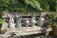 Brocs Zinc