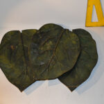 Plat N°02