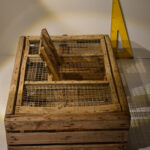 Cage à poules N°01