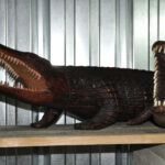 Crocodiles N°03