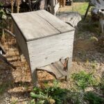 Ruche à abeilles